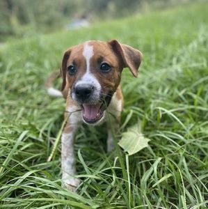 Meet your Posher, Joecie